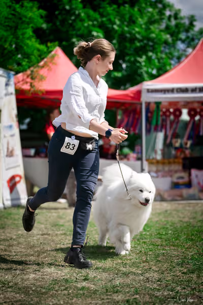 Samojed Klub SK – 9. května 2026