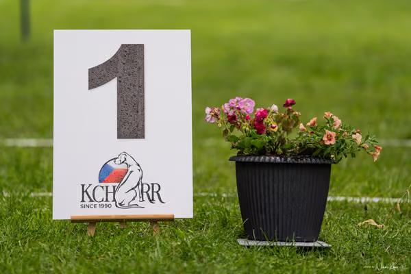 Klubová výstava KCHRR – 16. května 2026