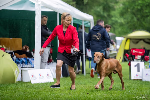 Klubová výstava KCHRR – 16. května 2026