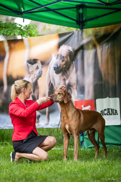 Klubová výstava KCHRR – 16. května 2026