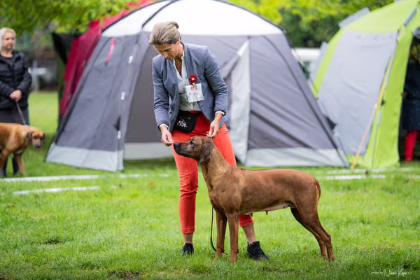 Klubová výstava KCHRR – 16. května 2026
