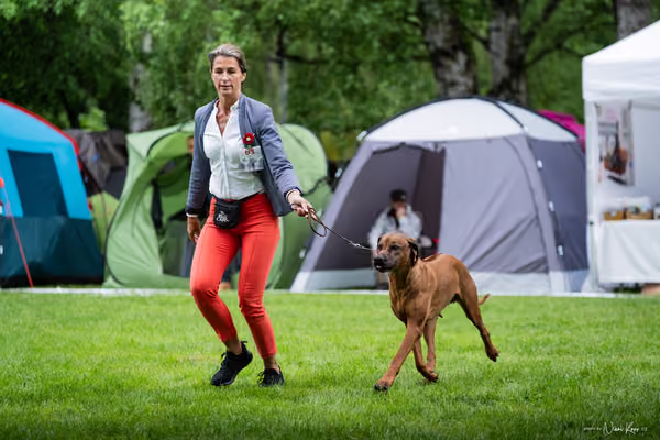 Klubová výstava KCHRR – 16. května 2026