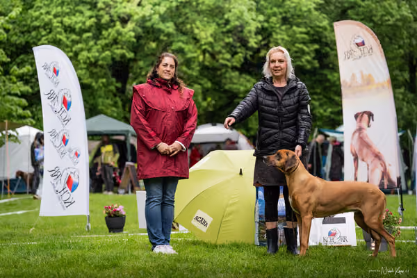 Klubová výstava KCHRR – 16. května 2026