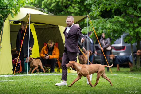 Klubová výstava KCHRR – 16. května 2026