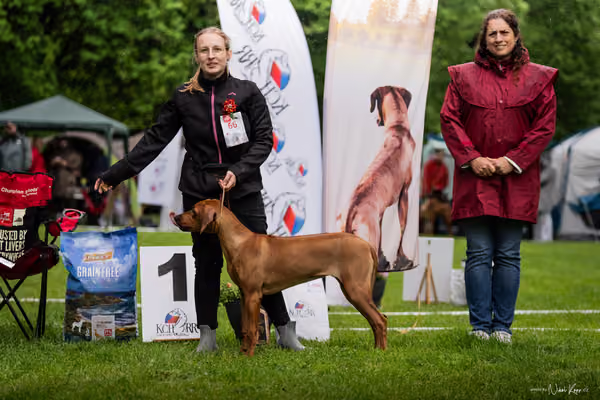 Klubová výstava KCHRR – 16. května 2026