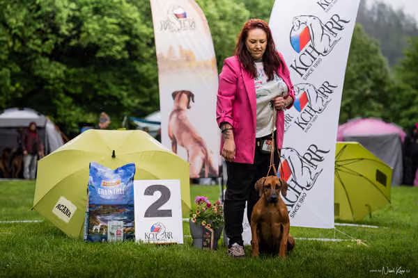 Klubová výstava KCHRR – 16. května 2026