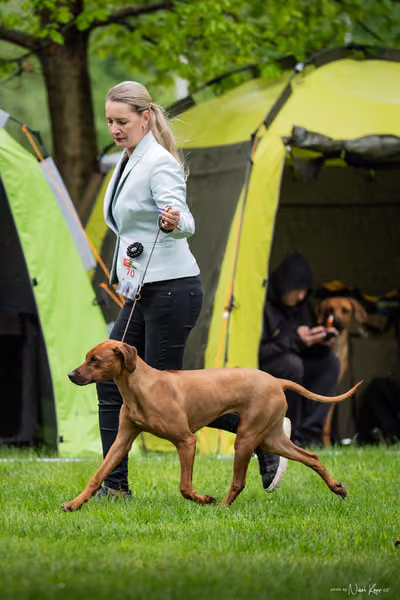 Klubová výstava KCHRR – 16. května 2026