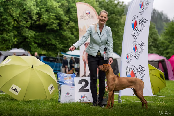 Klubová výstava KCHRR – 16. května 2026