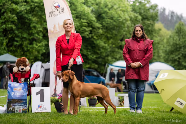 Klubová výstava KCHRR – 16. května 2026