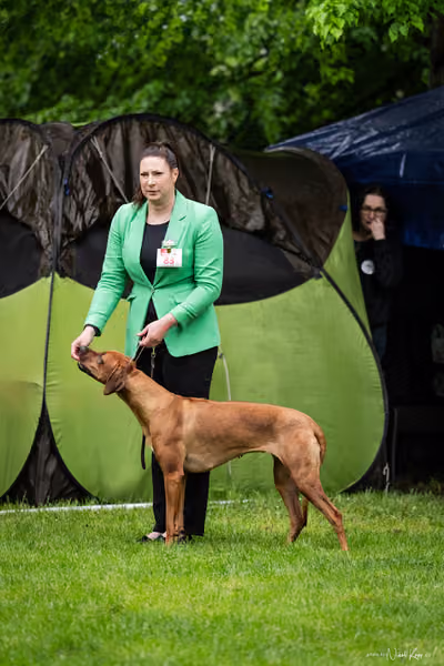 Klubová výstava KCHRR – 16. května 2026