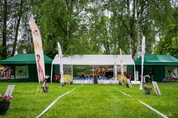 Klubová výstava KCHRR – 16. května 2026
