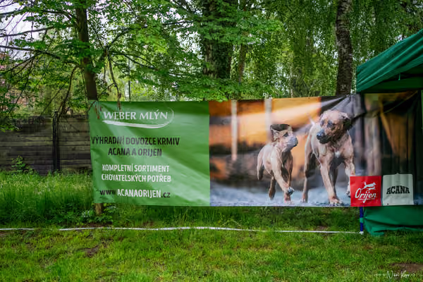 Klubová výstava KCHRR – 16. května 2026