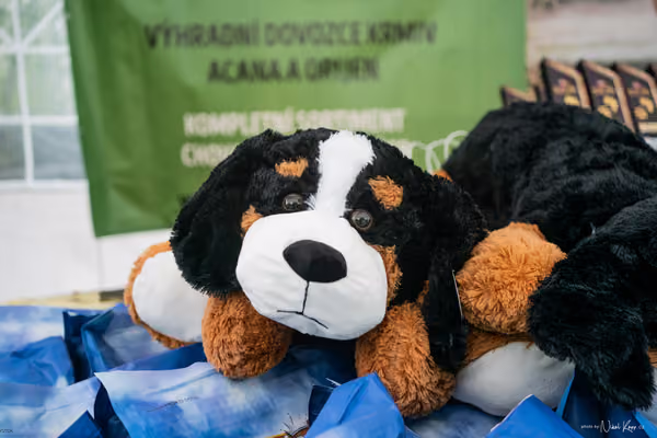 Klubová výstava KCHRR – 16. května 2026