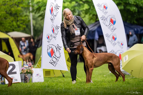 Klubová výstava KCHRR – 16. května 2026