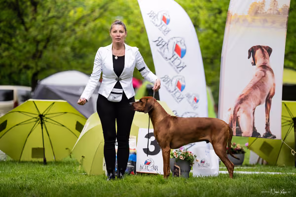 Klubová výstava KCHRR – 16. května 2026