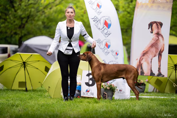 Klubová výstava KCHRR – 16. května 2026