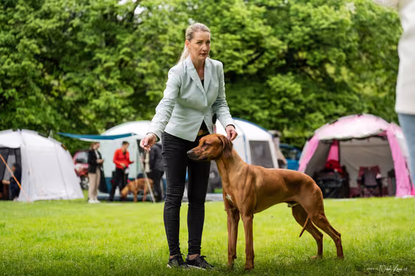 Klubová výstava KCHRR – 16. května 2026