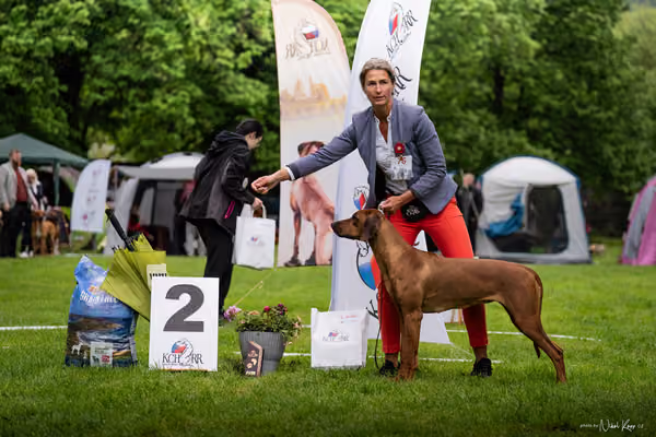 Klubová výstava KCHRR – 16. května 2026