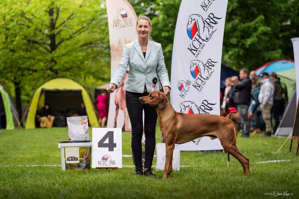 Klubová výstava KCHRR – 16. května 2026