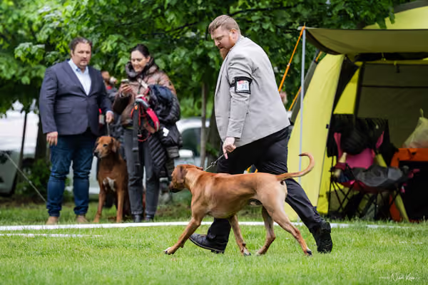 Klubová výstava KCHRR – 16. května 2026