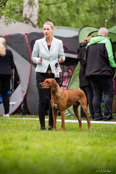 Klubová výstava KCHRR – 16. května 2026