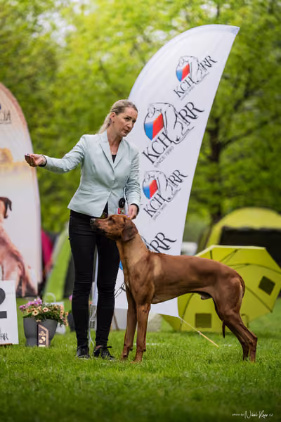 Klubová výstava KCHRR – 16. května 2026