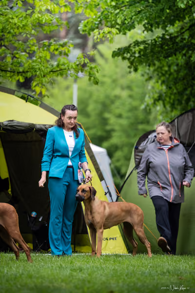 Klubová výstava KCHRR – 16. května 2026