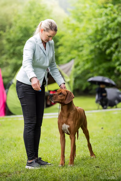 Klubová výstava KCHRR – 16. května 2026