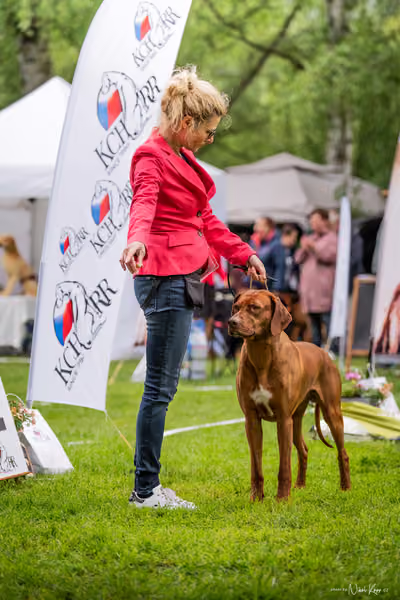 Klubová výstava KCHRR – 16. května 2026