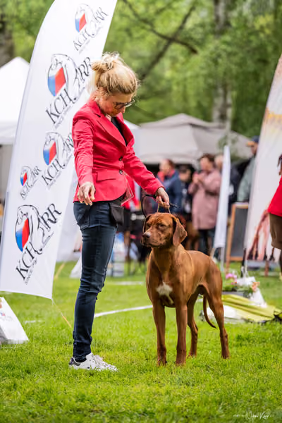 Klubová výstava KCHRR – 16. května 2026