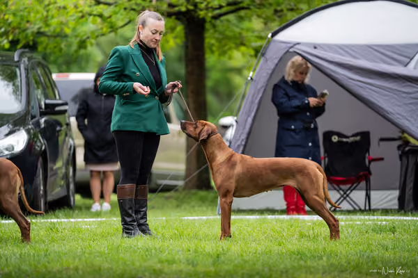 Klubová výstava KCHRR – 16. května 2026