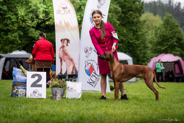 Klubová výstava KCHRR – 16. května 2026