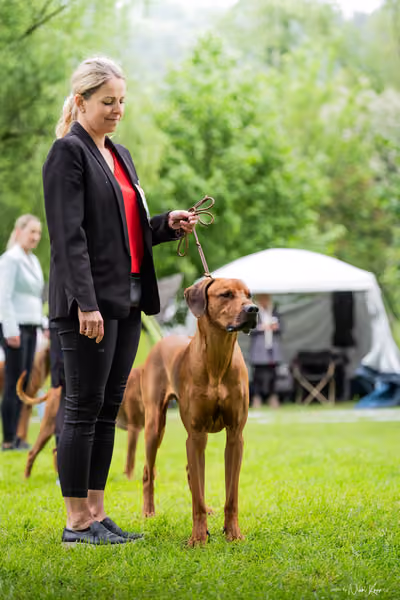 Klubová výstava KCHRR – 16. května 2026