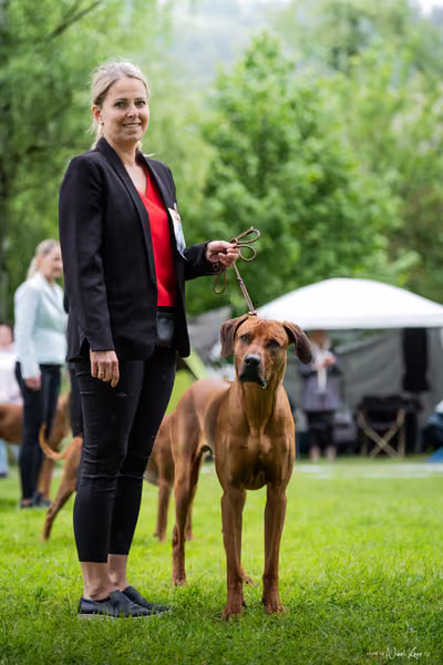 Klubová výstava KCHRR – 16. května 2026