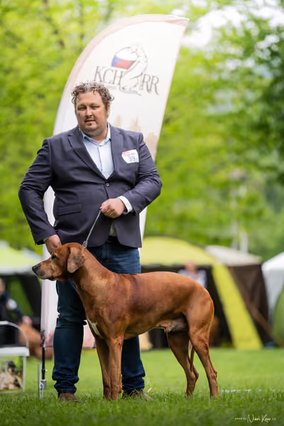Klubová výstava KCHRR – 16. května 2026