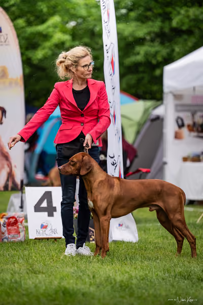 Klubová výstava KCHRR – 16. května 2026
