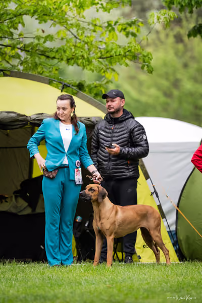 Klubová výstava KCHRR – 16. května 2026
