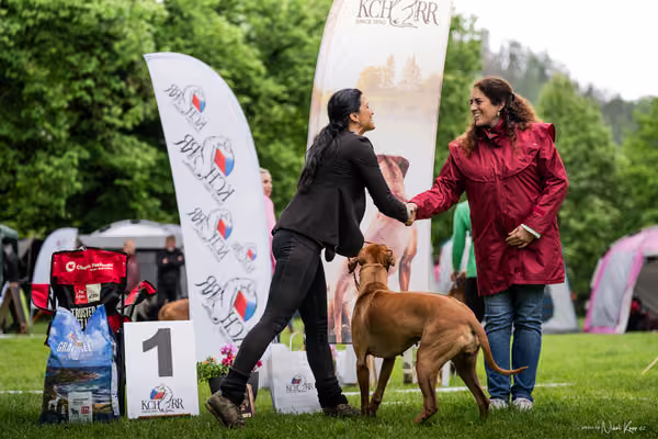 Klubová výstava KCHRR – 16. května 2026