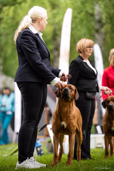 Klubová výstava KCHRR – 16. května 2026