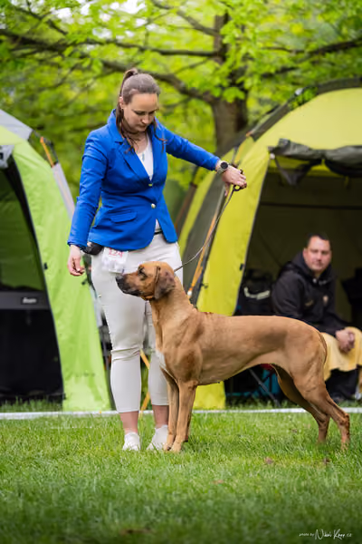 Klubová výstava KCHRR – 16. května 2026