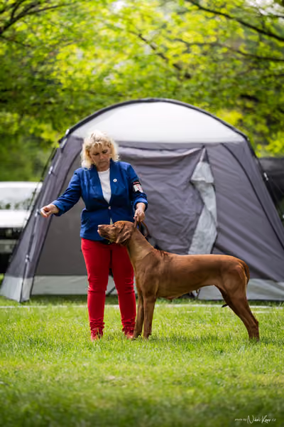 Klubová výstava KCHRR – 16. května 2026
