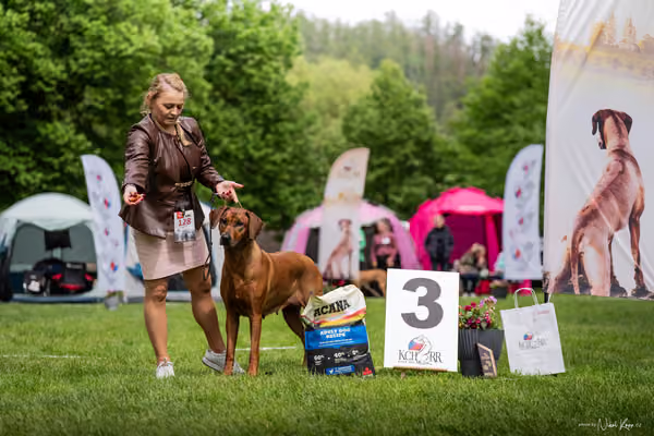 Klubová výstava KCHRR – 16. května 2026