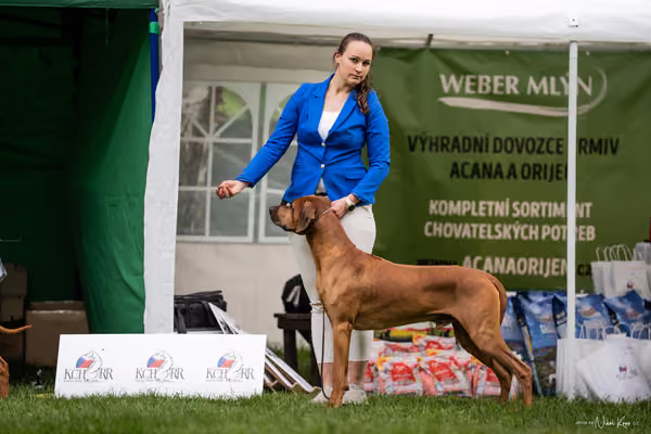 Klubová výstava KCHRR – 16. května 2026