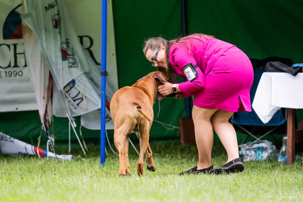 Klubová výstava KCHRR – 16. května 2026