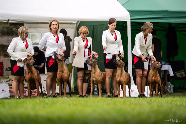 Klubová výstava KCHRR – 16. května 2026