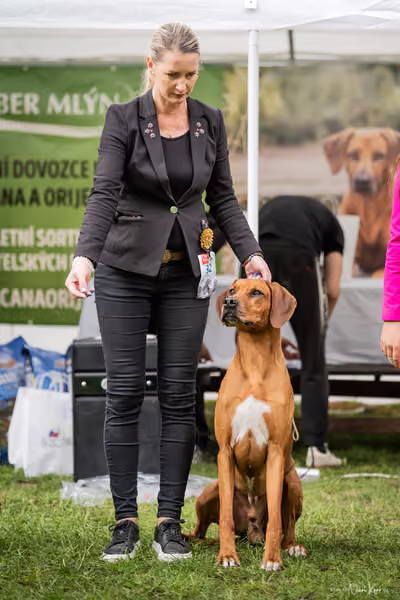 Klubová výstava KCHRR – 16. května 2026