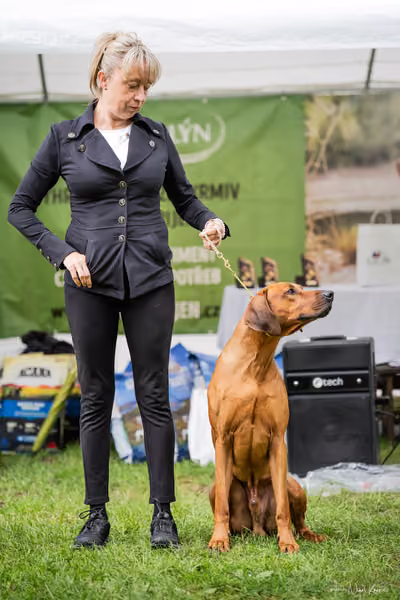 Klubová výstava KCHRR – 16. května 2026
