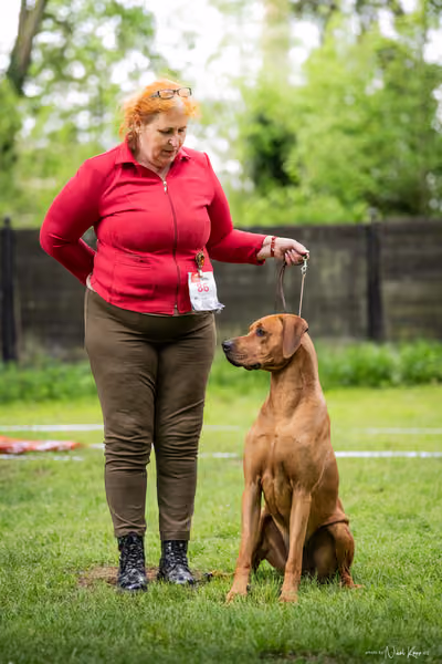 Klubová výstava KCHRR – 16. května 2026