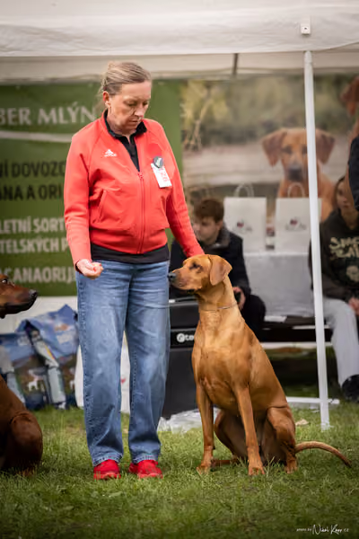 Klubová výstava KCHRR – 16. května 2026