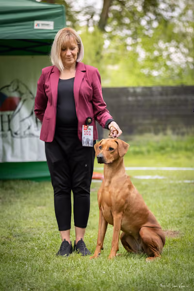Klubová výstava KCHRR – 16. května 2026